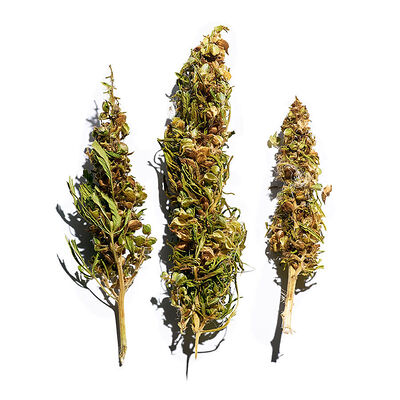 Чай Конопляный в Тануки по цене 380