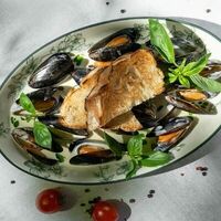 Мидии в сливочном соусе в Modus