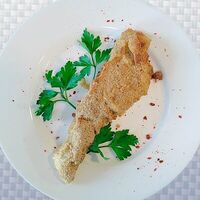 Шницель Нептун рыбный в ЭкоПауза