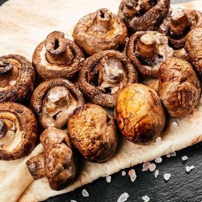 Грибы на мангалев Призма по цене 279 ₽