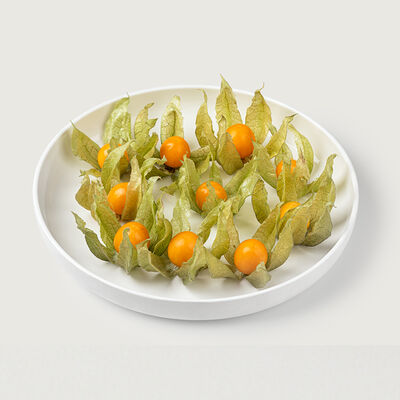 Физалис в VASILCHUKI Chaihona №1 по цене 310