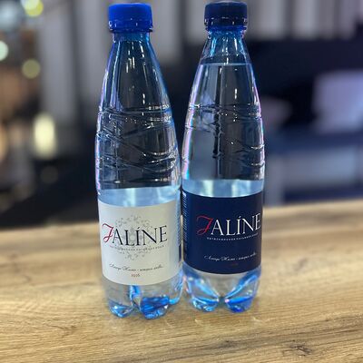 Вода без газа Жалин в Реальные бургеры по цене 150 ₽