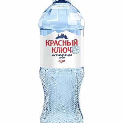 Вода Красный ключ без газа в The shaurma n1 по цене 70 ₽