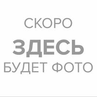 Свиные ребра гриль с картофелем фри в ROS