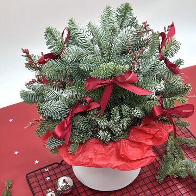 Новогодний ароматный нобилис с бантиками в шляпной коробке на Новый год в Cosmo Сakery по цене 2990 ₽