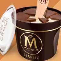 Магнат Монокап Классик в БамБуши