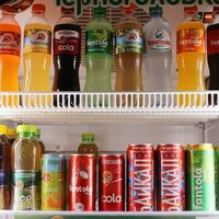 Fantola Orange в Чебурек хаус