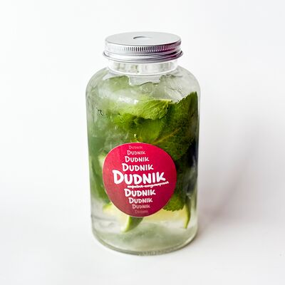 Мохито в банке в Dudnik по цене 405 ₽