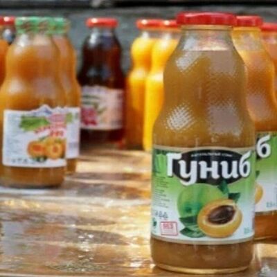 Гуниб алоэ в Дагестанская кухня ГОРНЫЙ ЧАЙХАЛЯЛЬ по цене 244 ₽
