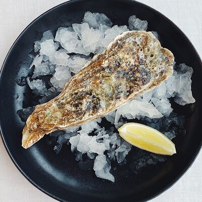 Устрица Императорская в Fishbazaar по цене 500 ₽