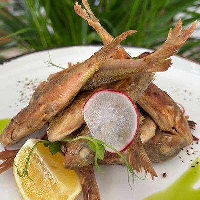 Барабуля в Adriatica по цене 1290 ₽