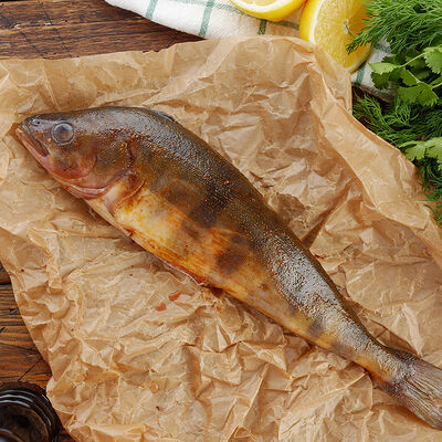 Терпуг в Сандуны Урал по цене 680 ₽