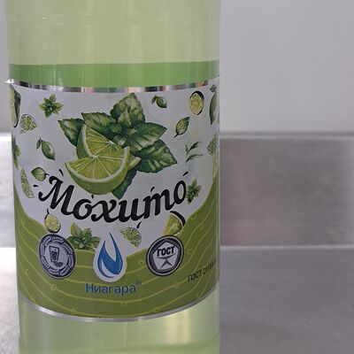 Лимонад Ниагара Мохито в Шашлык в бору по цене 100 ₽