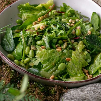 Салат зеленый с ореховым соусомв Павлин 2.0 по цене 495 ₽