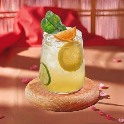 Лимонад Азиатские цитрусы в Тануки по цене 3700 ₸