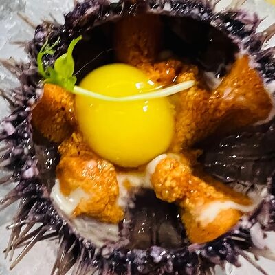 Морской ёж в Рыжий Лис по цене 348 ₽