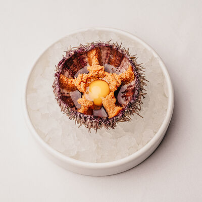 Морской еж в Клёво по цене 490 ₽