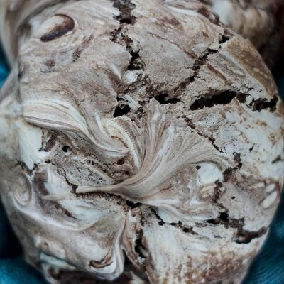 Шоколадное безе в Чилли ванилли по цене 80 ₽