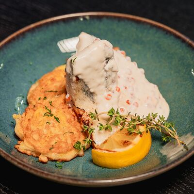 Судак с драником под сливочно-икорным соусомв Harats pub по цене 810 ₽