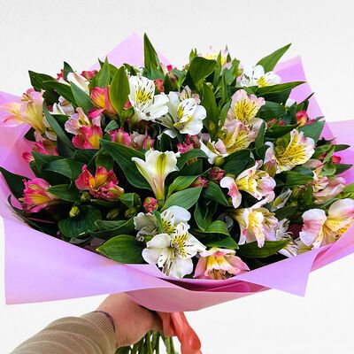 Букет из 17 альстромерий №59 в Arsentev Flowers по цене 3290 ₽