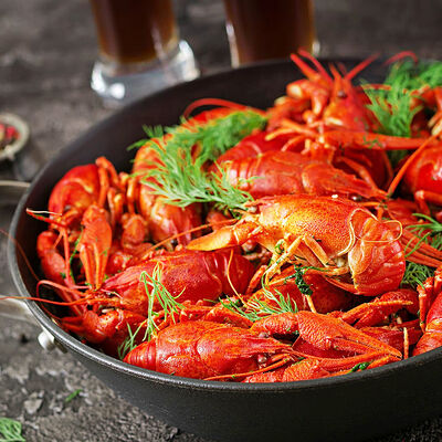 Раки камские варёные в Навигатор по цене 3460 ₽