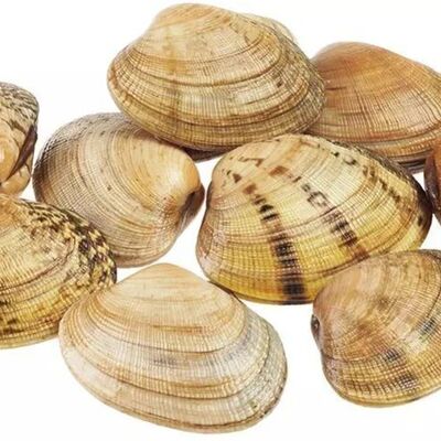 Замороженные вонголе в Свежая устрица по цене 332 ₽