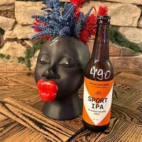 Пиво Спорт Ипа б/а в Синий пони