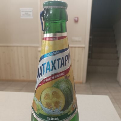 Натахтари Фейхоа в Бухара по цене 220 ₽