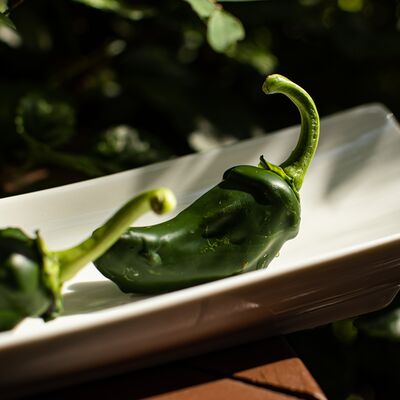 Конфета Padron в Padron по цене 340 ₽