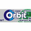 Orbit White жевательная резинка в Колибри по цене 50
