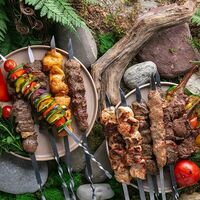 Логотип Павлин 2.0