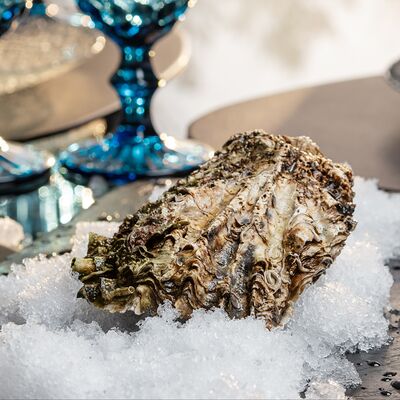 Устрица Хасанская в Мидийная по цене 400 ₽