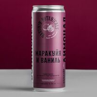 Лимонад Bakunin Botanicals Маракуйя и ваниль в Rockets & Bishops