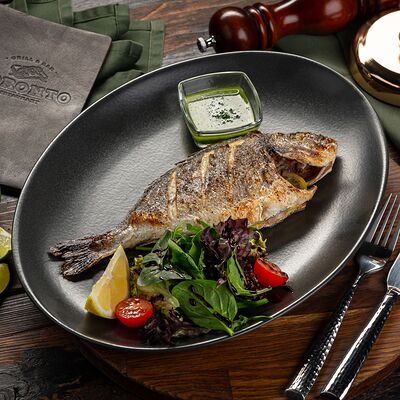 Дорадов Toronto по цене 1950 ₽