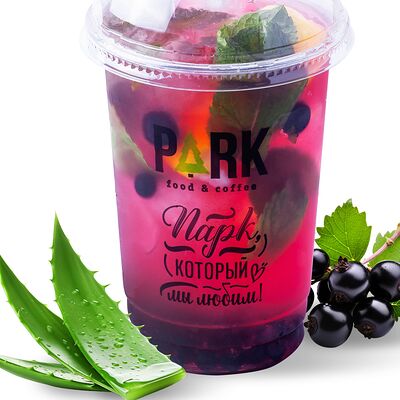 Лимонад Черная смородина-алоэ в Goodpark по цене 289 ₽