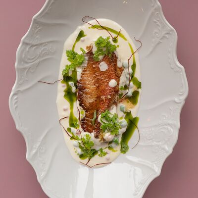 Морской окунь в угольных сливкахв Pioner по цене 1030 ₽