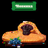 Пирожок Черника в Burger King по цене 5