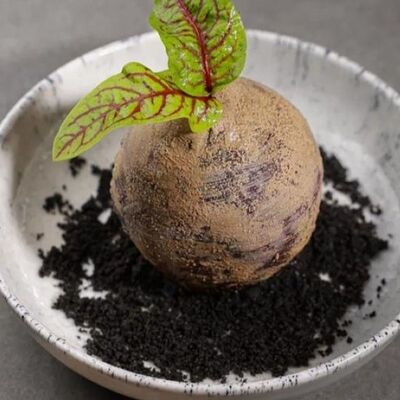 Свекла в 321 Club by Novikov по цене 570