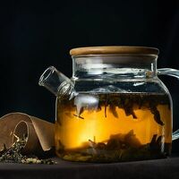 Индийский слон в Гуленьки на Комсомольском