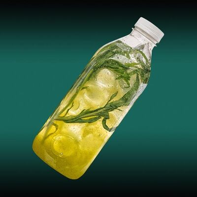 Лимонад Тархун 1л в Пицца Пи по цене 659 ₽