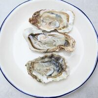 Сет Живая Хасанская устрицав Oysters Seafood Delivery