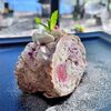 Меренговый рулет в Crouton по цене 550