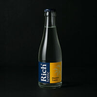 Rich indian tonic в Техникум