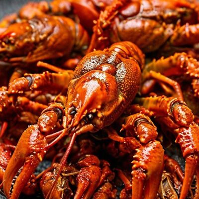 Раки крупные в LOMONOSOV RAKOVARNYA по цене 3840 ₽