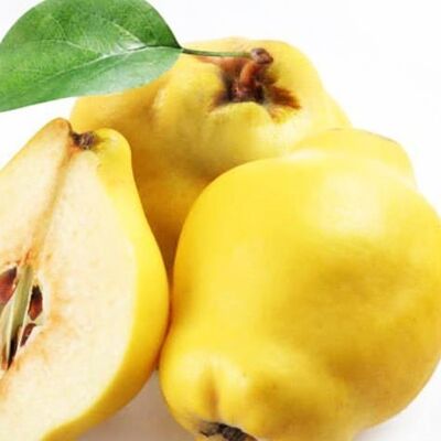 Айва свежая в Сахара по цене 480 ₽