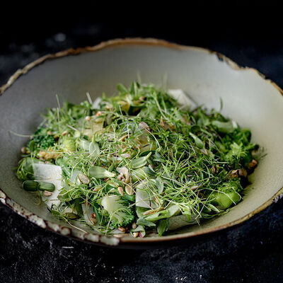 Зеленый салат с хвойными побегами в MANUL по цене 1200 ₽