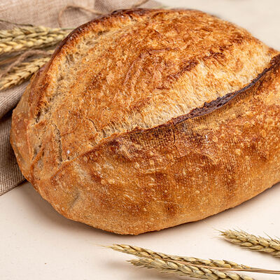 Тартин в Mojo по цене 250