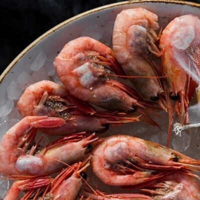 Плато из Магаданской северной креветки в Сытый Лось по цене 980 ₽