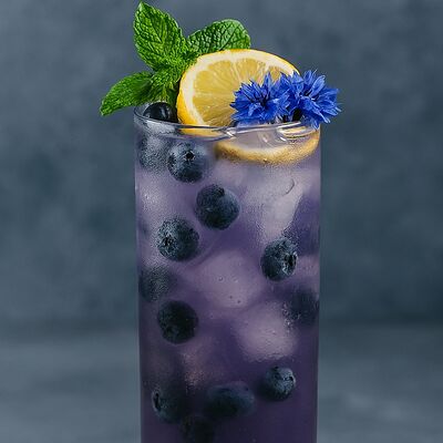 Лимонад Голубика-Васильки-Мята в Круча по цене 450 ₽