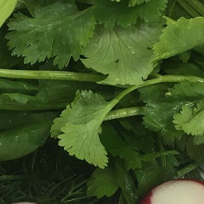 Зелень в Усадьба принца по цене 380 ₽